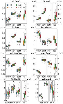 Patterns of inflammation, microstructural alterations, and sodium accumulation define multiple sclerosis subtypes after 15 years from onset